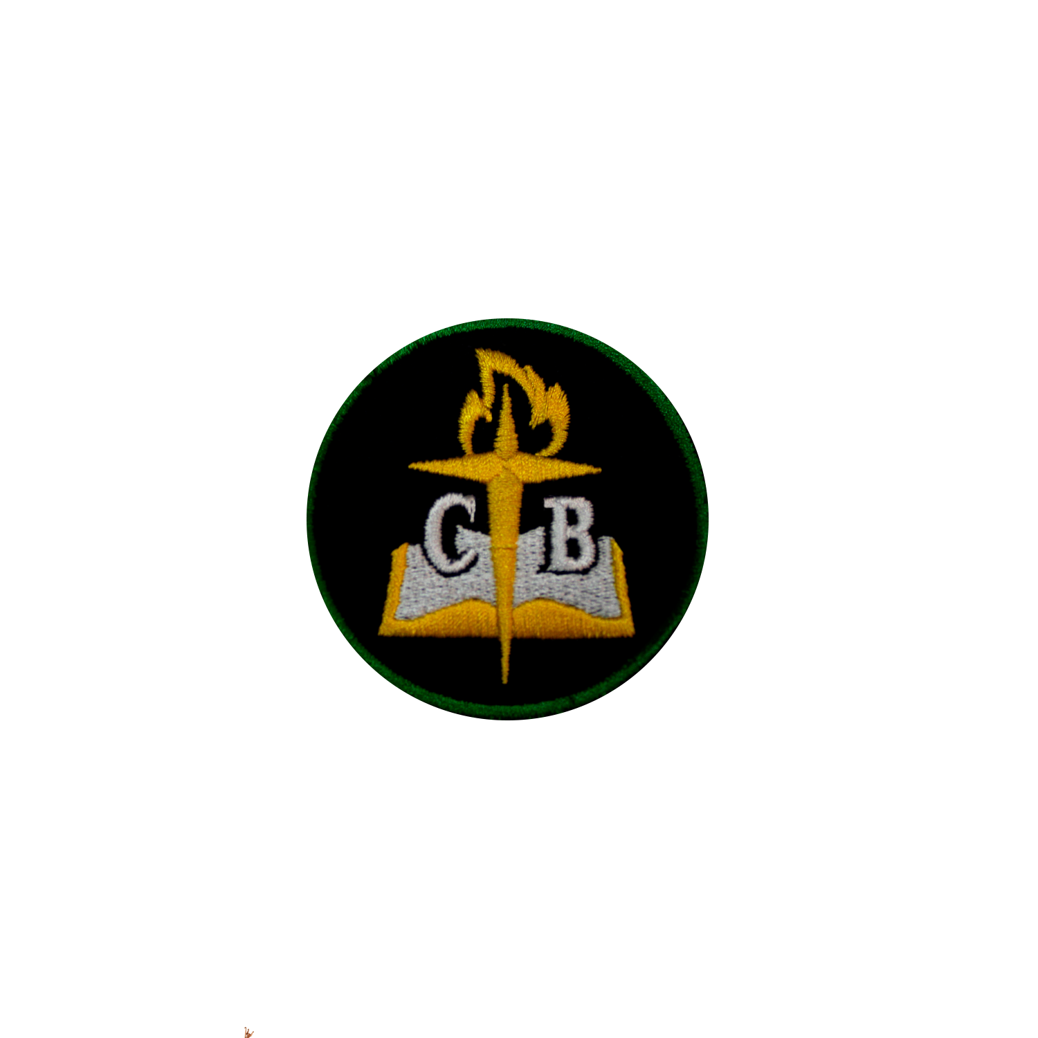 INSIGNIA COLEGIO BAUTISTA